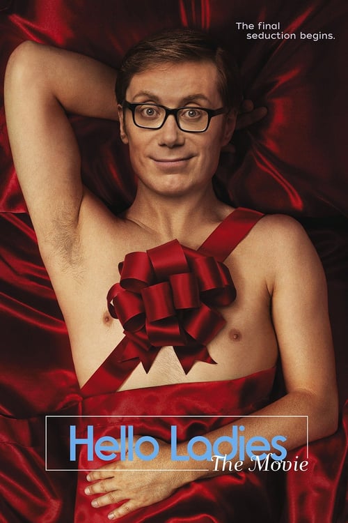 Hello Ladies: The Movie - Movie Poster Hello Ladies: The Movie - Movie Poster