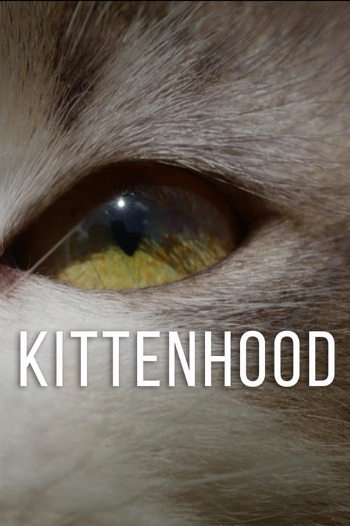 Kittenhood - Movie Poster Kittenhood - Movie Poster