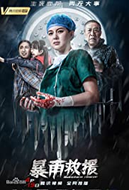 Rainstorm Rescue - Movie Poster Rainstorm Rescue - Movie Poster