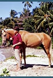 Cristobalito, the Calypso Colt - Movie Poster Cristobalito, the Calypso Colt - Movie Poster