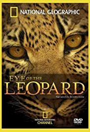Eye of the Leopard - Movie Poster Eye of the Leopard - Movie Poster