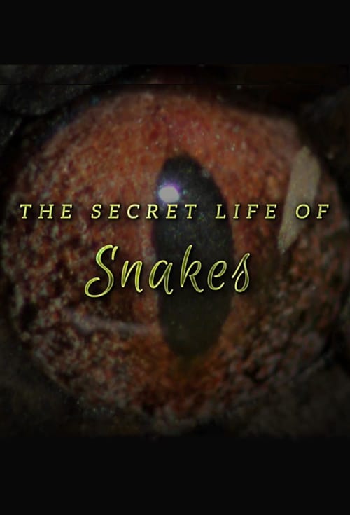 The Secret Life of Snakes - Movie Poster The Secret Life of Snakes - Movie Poster