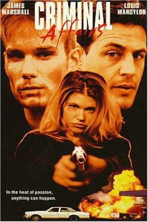 Criminal Affairs - Movie Poster Criminal Affairs - Movie Poster