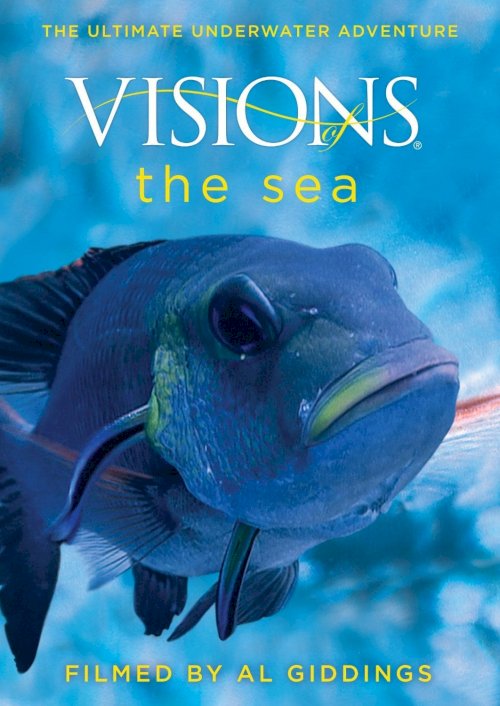 Visions of the Sea - Movie Poster Visions of the Sea - Movie Poster