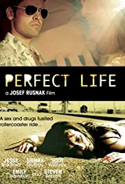 Perfect Life - Movie Poster Perfect Life - Movie Poster