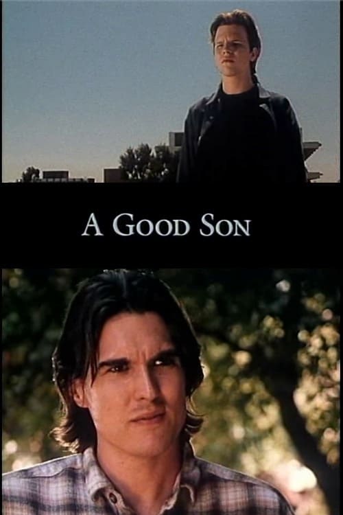 A Good Son - Movie Poster