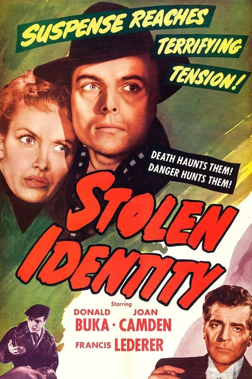 Stolen Identity - Movie Poster Stolen Identity - Movie Poster