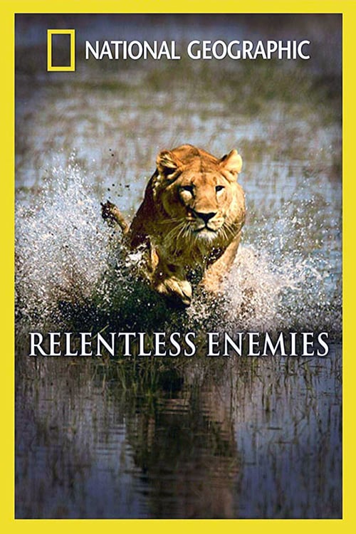 Relentless Enemies: Lions and Buffalo - Movie Poster Relentless Enemies: Lions and Buffalo - Movie Poster