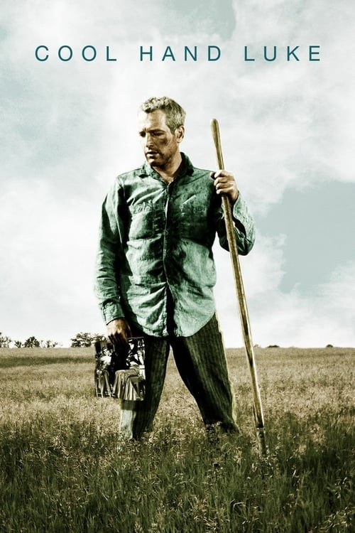 Cool Hand Luke - Movie Poster Cool Hand Luke - Movie Poster
