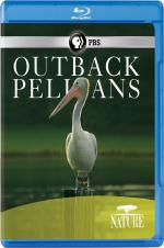 Outback Pelicans - Movie Poster Outback Pelicans - Movie Poster