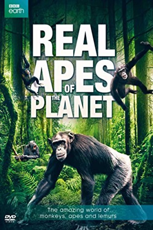 The Real Apes of the Planet - Movie Poster The Real Apes of the Planet - Movie Poster