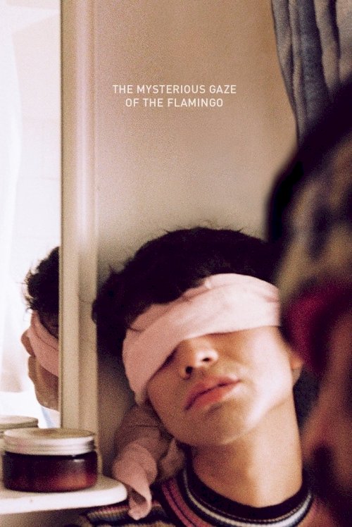 The Mysterious Gaze of the Flamingo - Movie Poster