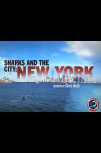 Sharks and the City: NYC - Movie Poster Sharks and the City: NYC - Movie Poster