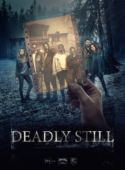 Deadly Still - Movie Poster Deadly Still - Movie Poster
