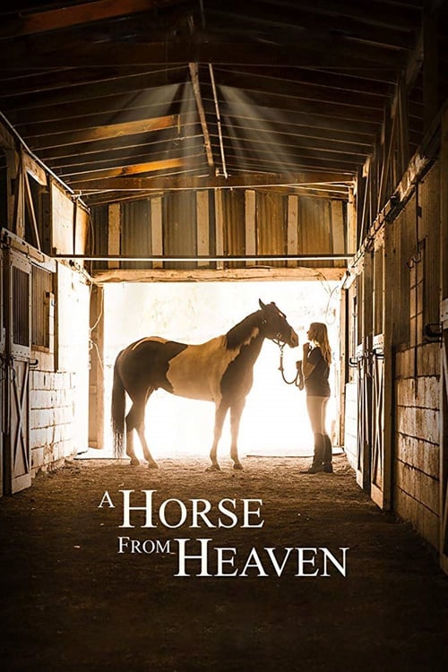 A Champion Heart - Movie Poster