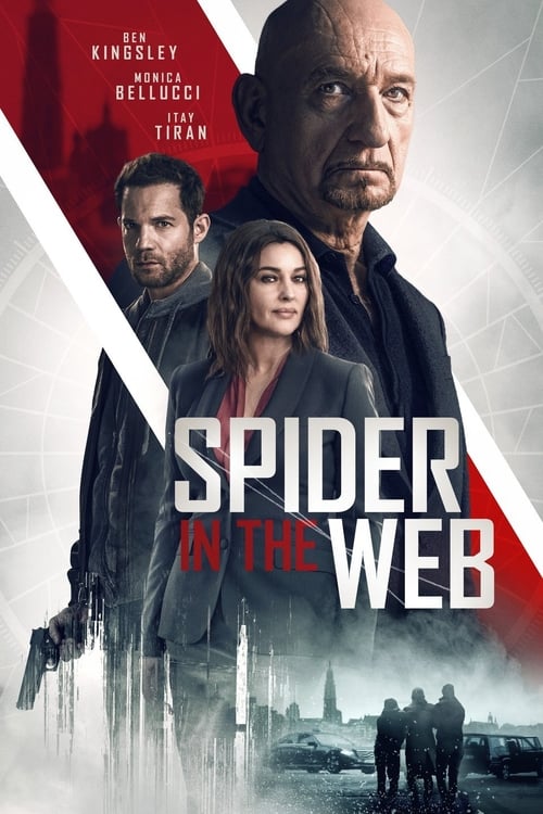 Spider in the Web - Movie Poster