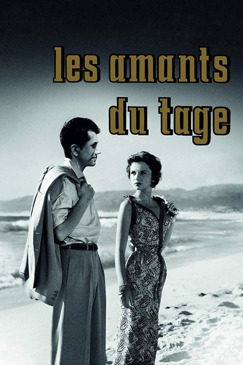 Lovers' Net - Movie Poster Lovers' Net - Movie Poster