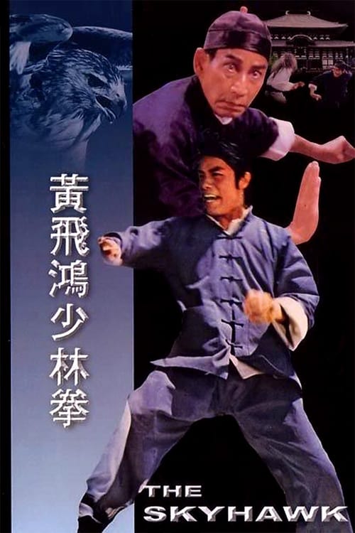 The Skyhawk - Movie Poster