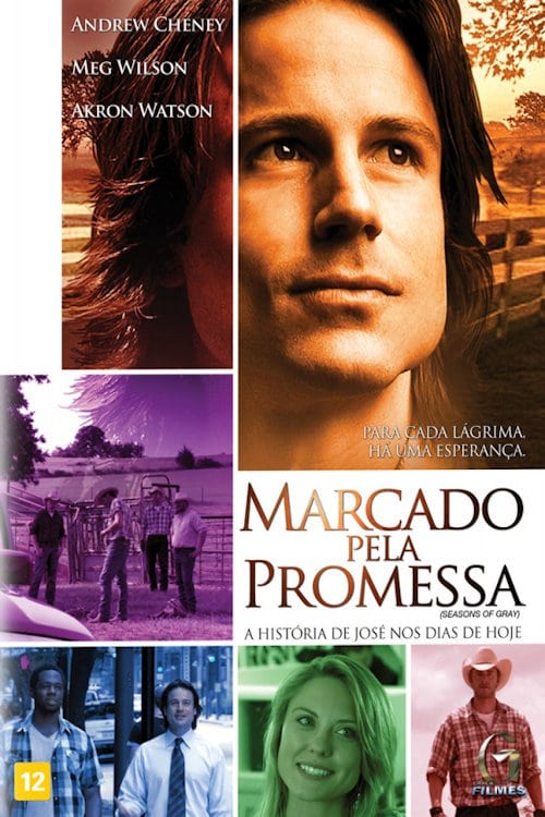 Seasons of Gray - Movie Poster Seasons of Gray - Movie Poster