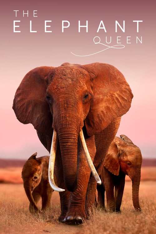 The Elephant Queen - Movie Poster The Elephant Queen - Movie Poster