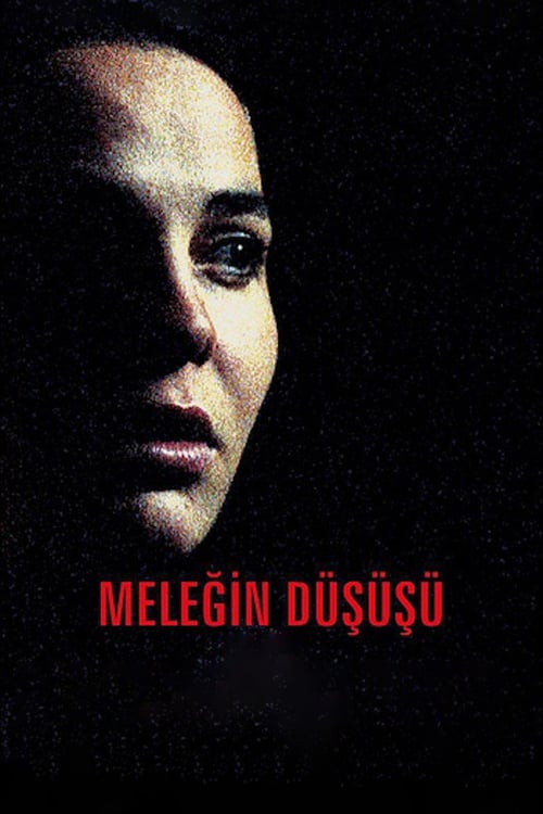 Angel's Fall - Movie Poster Angel's Fall - Movie Poster