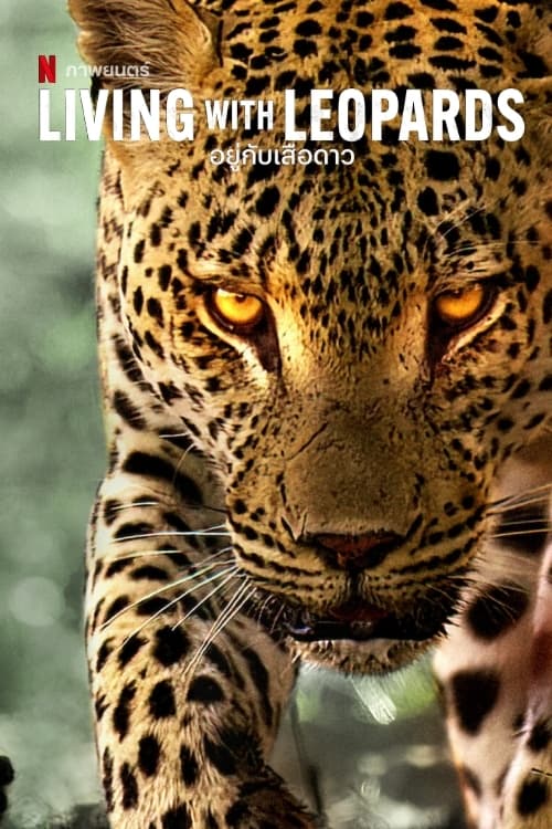 Living with Leopards - Movie Poster Living with Leopards - Movie Poster