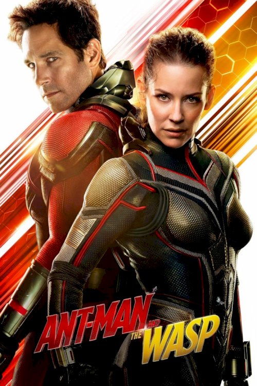 Ant-Man and the Wasp - Movie Poster Ant-Man and the Wasp - Movie Poster