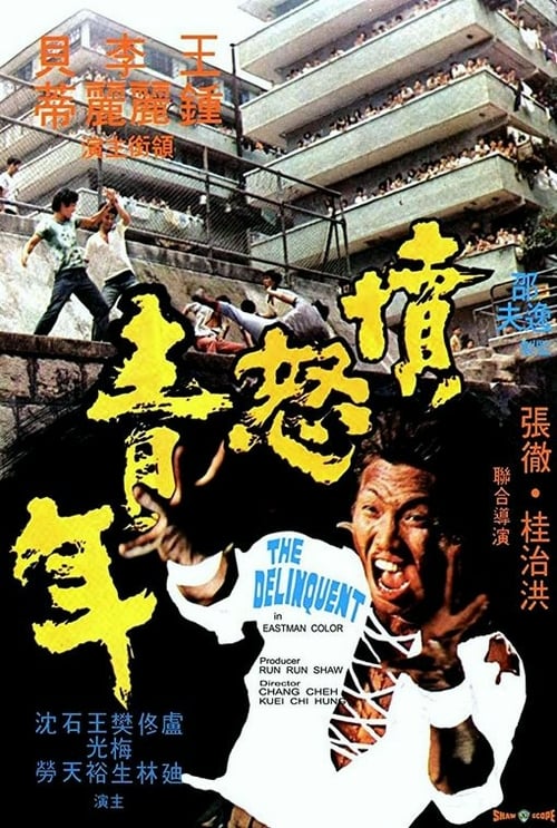 The Delinquent - Movie Poster The Delinquent - Movie Poster