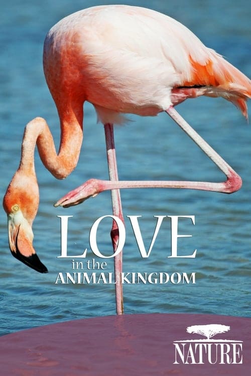 Nature: Love in the Animal Kingdom - Movie Poster Nature: Love in the Animal Kingdom - Movie Poster