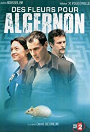 Des fleurs pour Algernon - Movie Poster Des fleurs pour Algernon - Movie Poster