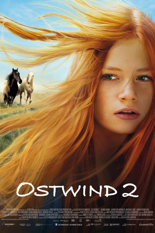 Windstorm 2 - Movie Poster Windstorm 2 - Movie Poster