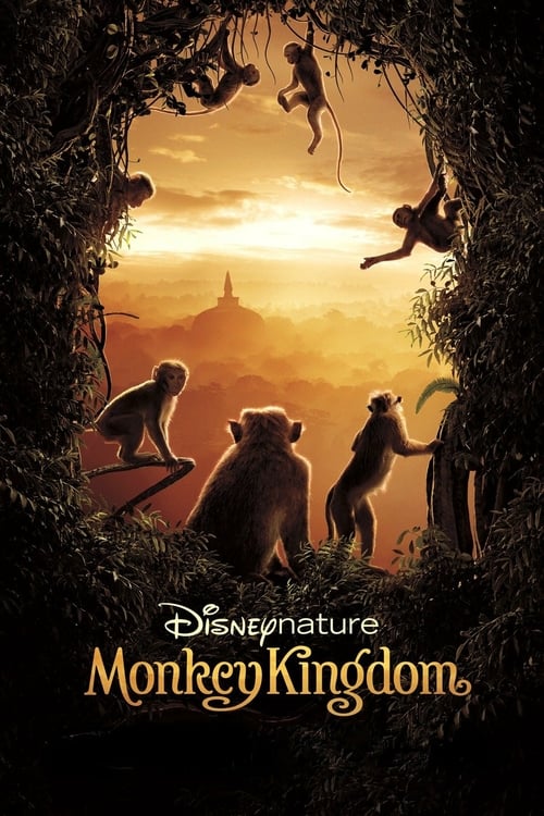 Monkey Kingdom - Movie Poster Monkey Kingdom - Movie Poster