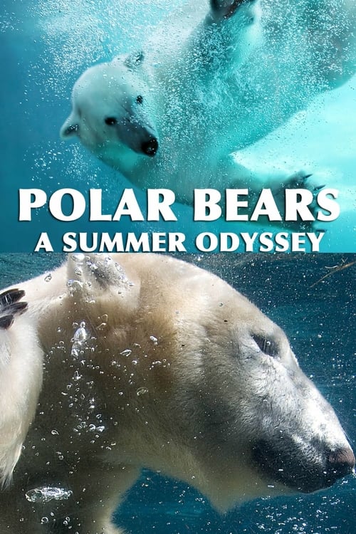 Polar Bears: A Summer Odyssey - Movie Poster Polar Bears: A Summer Odyssey - Movie Poster