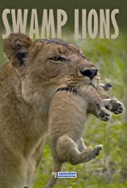 Swamp Lions - Movie Poster