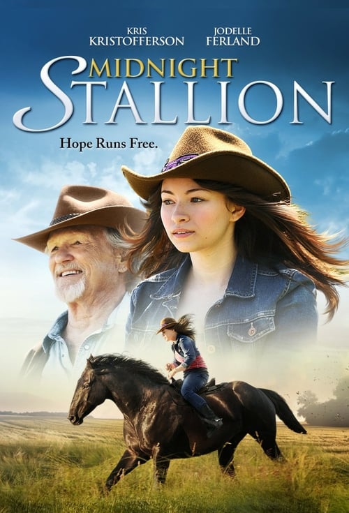 Midnight Stallion - Movie Poster Midnight Stallion - Movie Poster