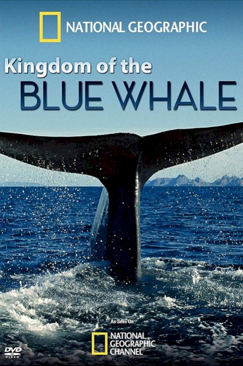 Kingdom of the Blue Whale - Movie Poster Kingdom of the Blue Whale - Movie Poster
