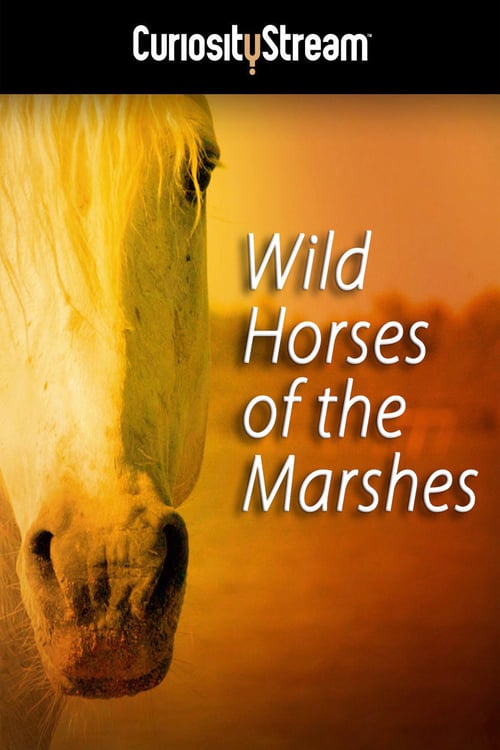 Wild Horses of the Marshes - Movie Poster