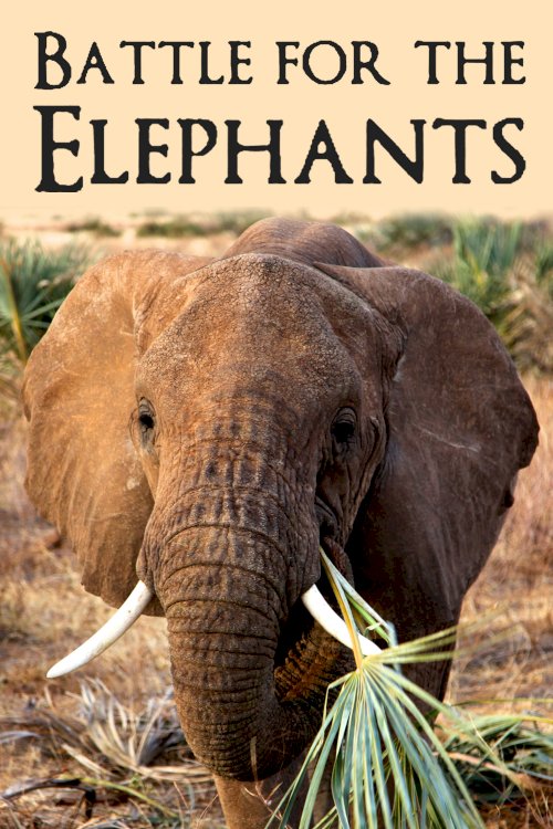 Battle for the Elephants - Movie Poster Battle for the Elephants - Movie Poster