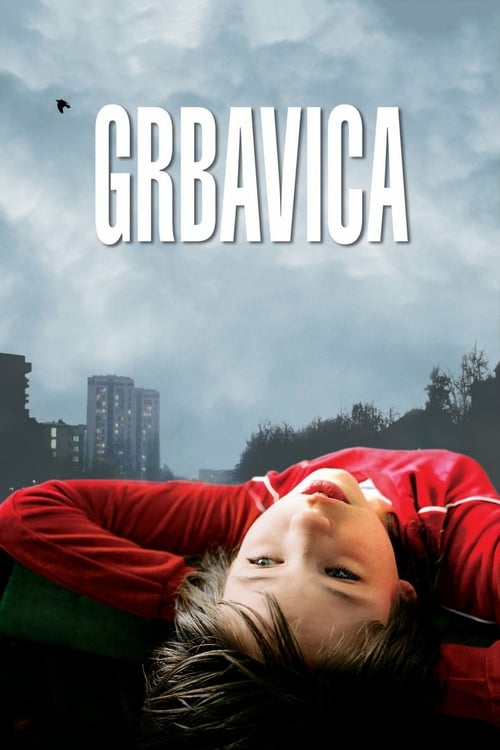 Grbavica: The Land of My Dreams - Movie Poster Grbavica: The Land of My Dreams - Movie Poster