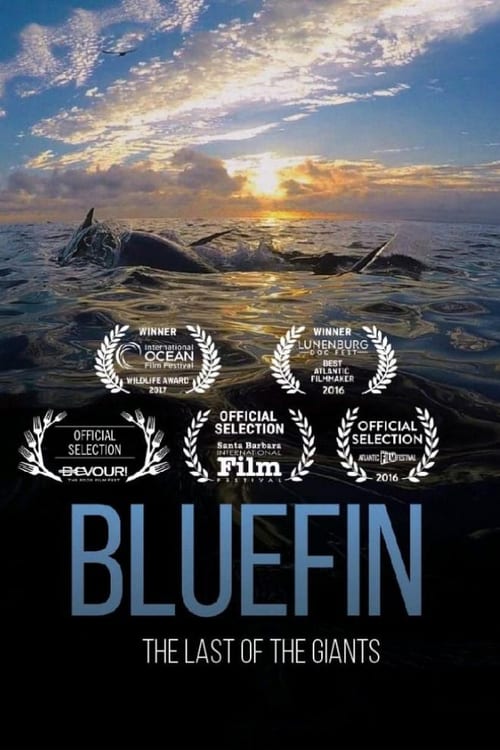 Bluefin - Movie Poster Bluefin - Movie Poster