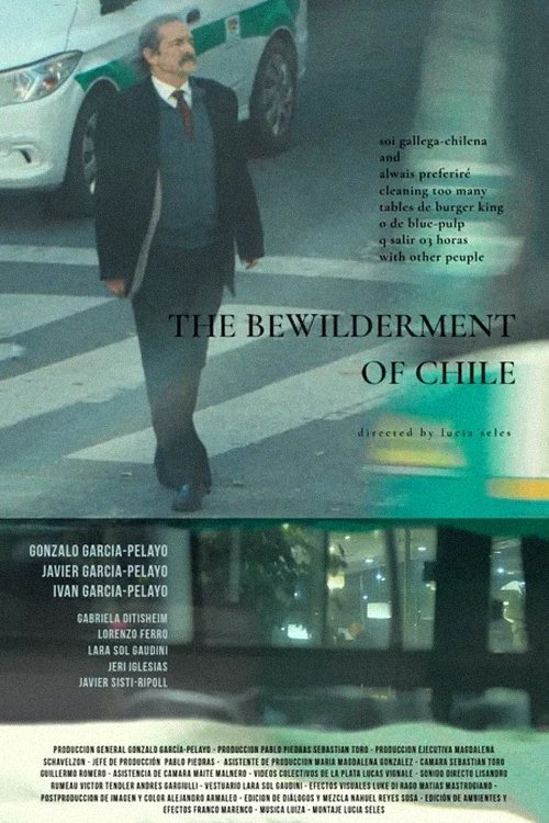 the bewilderment of chile - Movie Poster the bewilderment of chile - Movie Poster