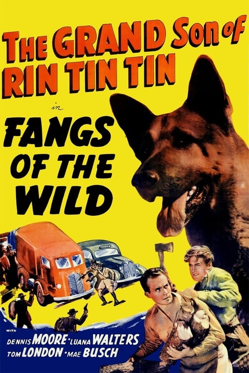 Fangs of the Wild - Movie Poster Fangs of the Wild - Movie Poster