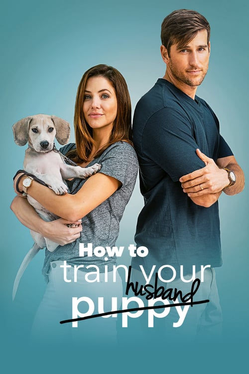 How to Train Your Husband - Movie Poster How to Train Your Husband - Movie Poster