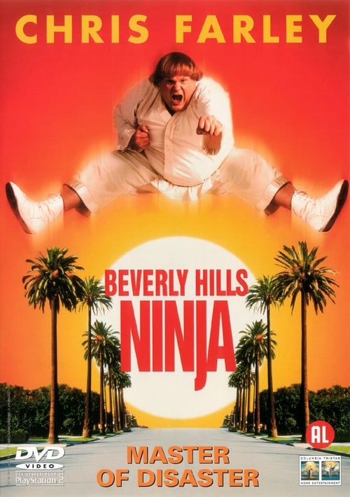 Beverly Hills Ninja - Movie Poster Beverly Hills Ninja - Movie Poster