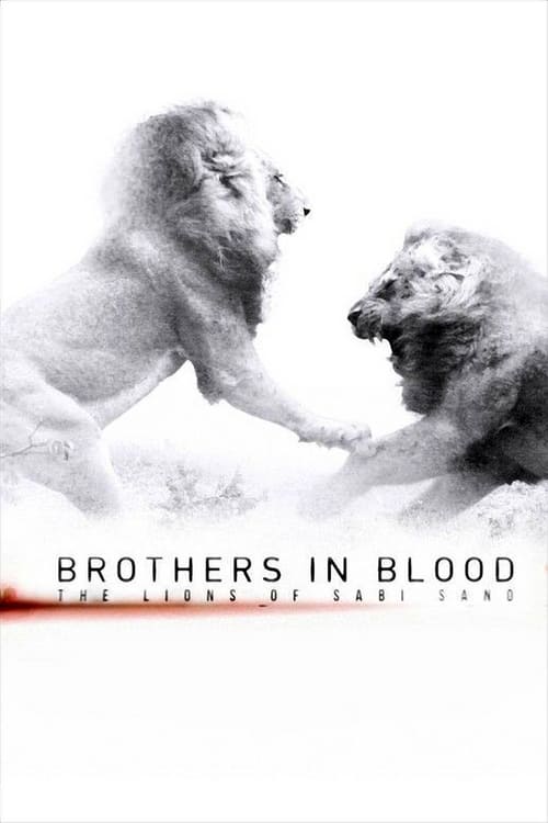 Brothers in Blood: The Lions of Sabi Sand - Movie Poster Brothers in Blood: The Lions of Sabi Sand - Movie Poster