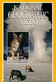 Yellowstone: Realm of the Coyote - Movie Poster