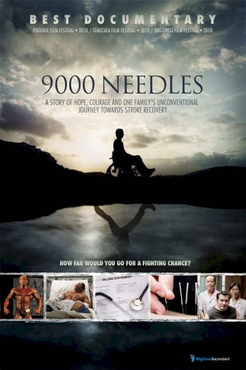 9000 Needles - Movie Poster 9000 Needles - Movie Poster