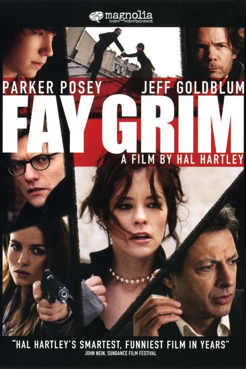 Fay Grim - Movie Poster Fay Grim - Movie Poster