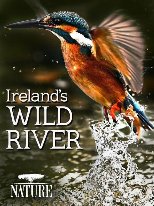Ireland's Wild River - Movie Poster