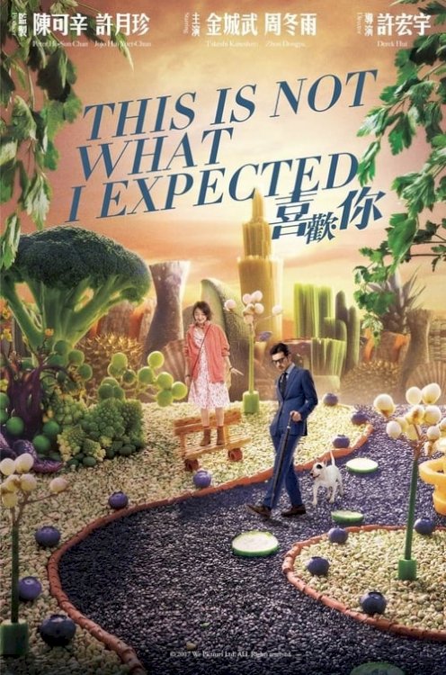 This Is Not What I Expected - Movie Poster